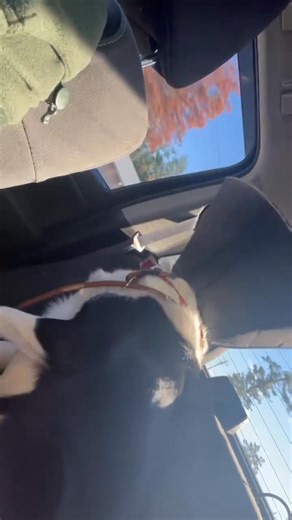 Donald LaMay on Reels