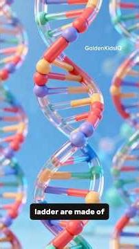 Part 2 - DNA Explained Using Book & Computer Code Metaphor 📚 💻