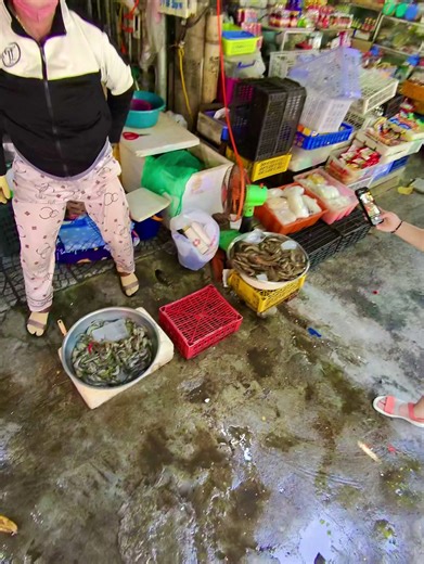 Da Nang market — a true seafood paradise with incredible variety. From live fish and giant prawns to crabs, clams, squid, and the freshest shellfish you can imagine, the markets here are overflowing with ocean flavor. Every stall tells a story of Vietnam’s coastal life, where seafood is caught daily and sold within hours. If you love exploring local culture — or discovering new ingredients for cooking — Da Nang’s seafood markets are unforgettable. globalseafoods.com #DaNang #VietnamSeafood #Seaf