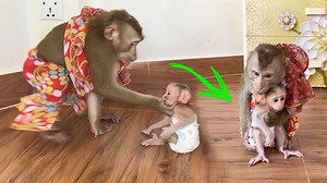 Judee Xtrmely Sweet, Soft & Gentle To Lil Grl Wth Tender Care | The Judy Family