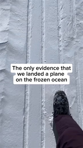 Matty Jordan Antarctica on Instagram: "On our flight to the Lazarev emperor penguin colony in Dronning Maud Land, our expert pilots landed us right on the sea ice. This ice develops over the winter when temperatures are low enough to freeze the ocean around Antarctica. This process effectively doubles the size of the continent. Emperor penguins rely on the sea ice for their colonies. Most emperors will never touch rocky ground, spending their entire lives either on ice, or in the ocean. Lazarev 