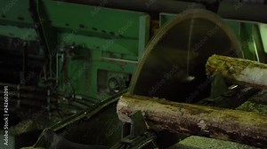 Logs approach a sawblade on a mill conveyor belt