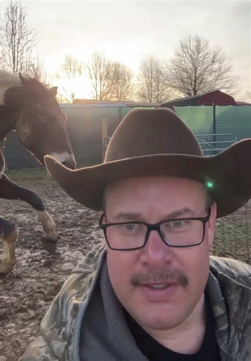 Interacting Safely with an Angry Stallion