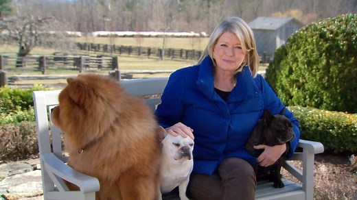 33K views · 427 reactions | Stimulating toys, engaging feeding bowls,...