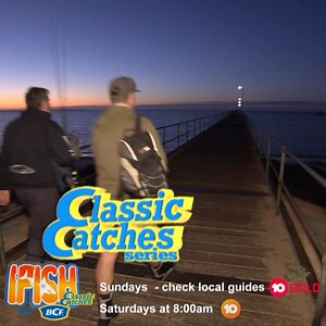 Wake up with IFISH Channel TEN 8am #ifishtv | Ifish