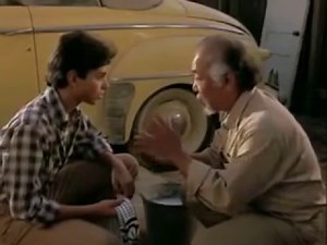Karate Kid's Lesson 1: Wax on Wax off