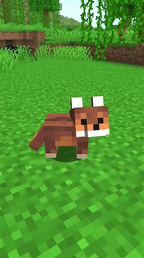 Minecraft Added BABY WOLVES?! 😱🐺 #shorts
