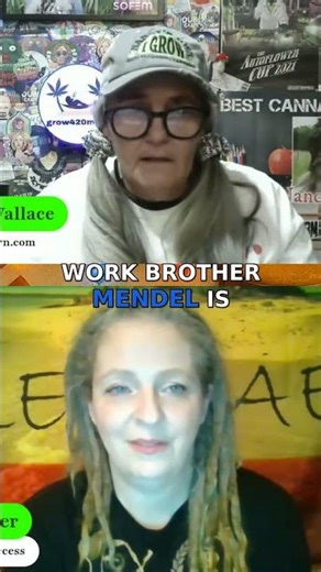 The Evolution of Auto Flowers and Their Flavors