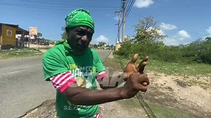 58-year-old Trevor Lawrence a resident of Longville Park in Clarendon, giving his crime plan, while awaiting the tour of Clarendon South East by Prime Minister Andrew Holness. Video by: Ricardo Makyn | The Jamaica Star