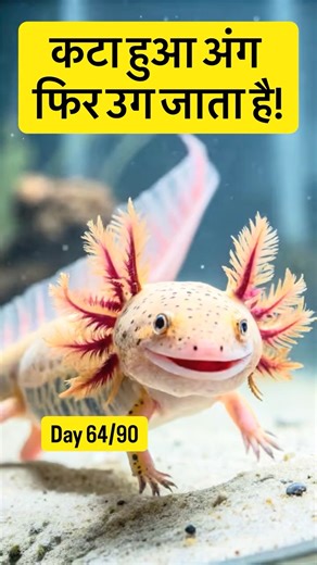 The Animal That Can Regrow Body Parts 😳🧬 | Axolotl Explained | Day 64 #facts #shorts