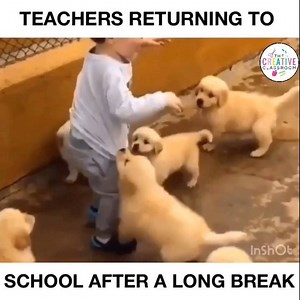 28K views · 73 reactions | I’m a pretty big deal to 2nd graders!  Spring Break is just about over and as much as I loved sleeping in, binge watching 90210 and using the restroom whenever I felt like it, I’m excited to see my kiddos this week! #teachersofinstagram #teachersfollowteachers #iteachtoo #iteachsecond #teachers | The Creative Classroom | Facebook