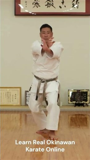 A Lineage of Shuri-te from the Ryukyu Kingdom — Now, from Anywhere｜KARATE ONLINE SUI