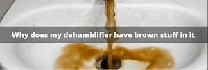 Why Does My Dehumidifier have Brown Stuff in it (Plus Possible Solutions) - Humidifier Experts