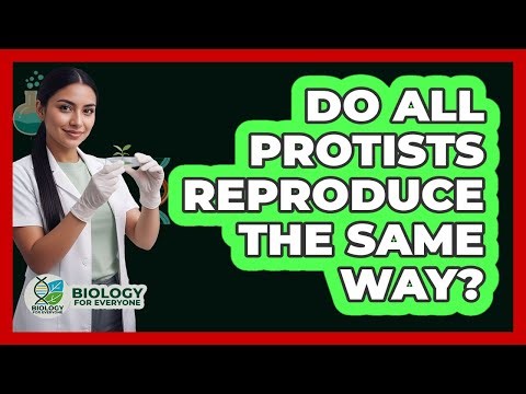 Do All Protists Reproduce The Same Way? - Biology For Everyone