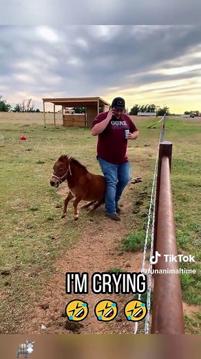 Watch This Donkey Throw a Hilarious Tantrum! 😂