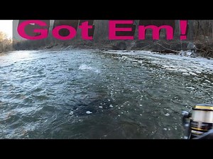 Float Fishing Steelhead on Rocky River, Ohio (Everybody Caught Steelhead, Fish On!)