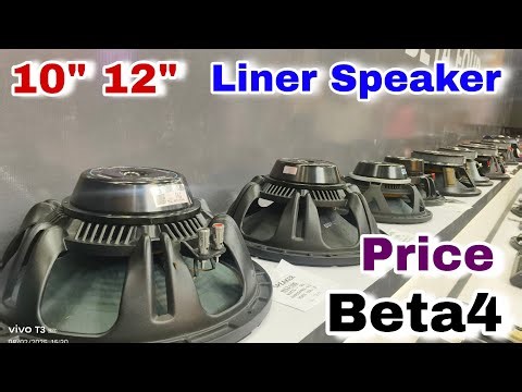 Beta4 10inch 12inch Liner Speaker Review And Price | Djrock
