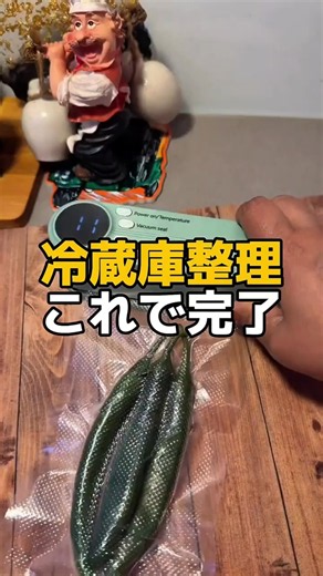 冷蔵庫の食材が全部ぺたんこ？コードレス真空シーラー #真空保存 #冷蔵庫収納