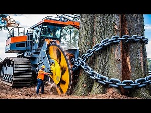 175 Most Big Chainsaw Cutting Tree Machines, Monster Stump Removal Excavator #48