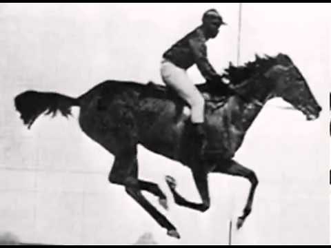The First Motion Picture Ever Made (1878) The Horse In Motion
