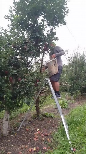 R.J.M.G.J (@r.j.m.g.j)’s videos with original sound - R.J.M.G.J