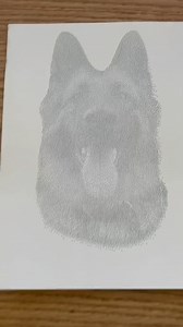 German Shepherd Drawing! #GermanShepherdArt #germanshepherddrawing #germanshepherdlover #germanshepherdlove #germanshepherdfanpage #dogartwork #dogartwork | Elias Zacarias