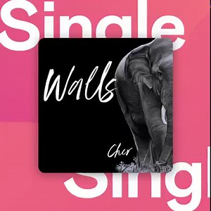 Cher has released her surprise new song ‘Walls’ and it sounds beautiful 🎵 Listen now on Deezer and #DeezerHIFI. dzr.lnk.to/Cher_Walls/FA | Deezer