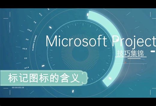 Project标记图标的含义