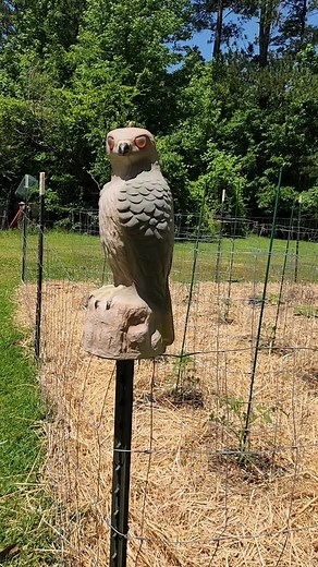 Tony Hamilton on Reels