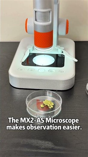 Let’s look at matcha powder under a microscope! 🍵🔬