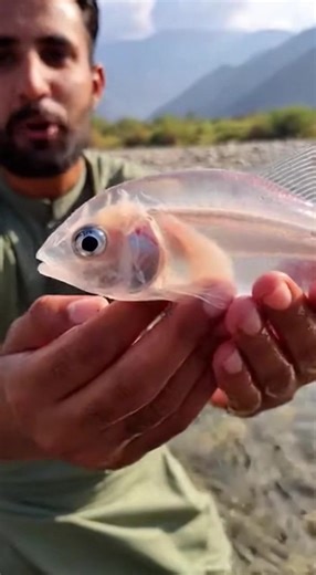 baghair color ki fish || Allah ki qudrat dekhy #fish #machli #Pakistan #AI #Sora | JhatkaAi