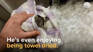 This is bath time at its finest! | Today Show