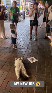 222K views · 4K reactions | I Started a new easy job..... 辰 | Simple | Facebook