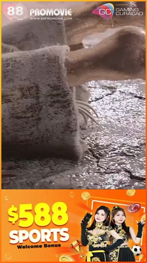 3 Body Problem - Copernicus's Encounter with the Count and the Follower Join Telegram: https://t.me/LikeHomeTheater 📌𝐂𝐋𝐈𝐂𝐊 𝐇𝐄𝐑𝐄 𝐅𝐎𝐑 𝐌𝐎𝐑𝐄 𝐈𝐍𝐅𝐎📌 https://bit.ly/88pbgames ▶️𝗣𝗟𝗔𝗬 𝗡𝗢𝗪! https://bit.ly/3FH3iFQ 📌PRO Football E-Book📌 https://88prosport.aflip.in/football.ebook 📌PRO Horse E-Book📌 https://88prosport.aflip.in/horse.ebook #3BodyProblem #tvseries #alieninvasion #adventure #drama #fantasy #Mystery #scifi #88promovie | 88鑫博娱乐