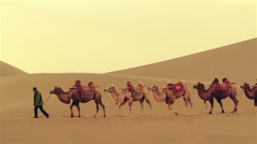 Are you tired of traveling to common cities, usual architectures and nature sightseeing? If yes, it’s time to go to 📍Dunhuang where you can experience something quite different. Dunhuang is a small city in China, but the 🌟brightest star on the Silk Road, the Oriental Buddha Park and China’s Art Center. It played an important role of connecting China with Western Region, Central Asia and the Europe during the ancient 🐫Silk Road era. In Dunhuang, you can not only discover many ancient 🛕grottoe
