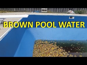 What Makes Pool Water Turn Brown?