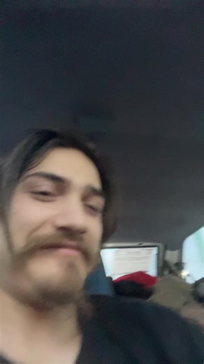 Cat's Unusual Sock Sniffing Habit