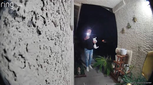 DoorDash Driver Caught on Video Apparently Stealing Cat During Delivery