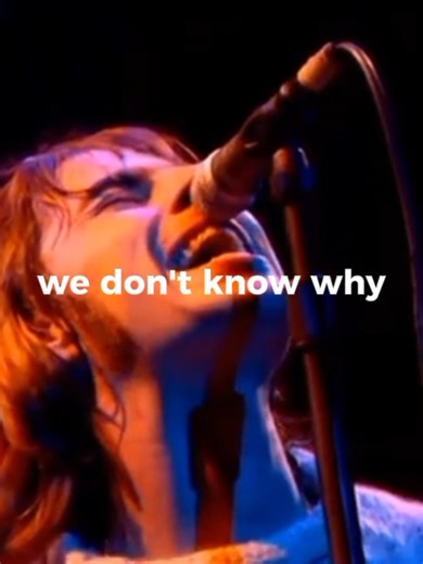 Oasis - Champagne Supernova Live at Knebworth 1996 What's The Story Morning Glory Tour #Oasis #champagnesupernova #whatsthestorymorningglory #liamgallagher #noelgallagher #fyp #oasislyrics #oasisreunion