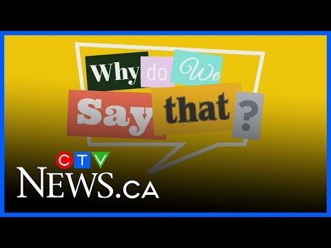 Look who's a Big Wig now! | Why Do We Say That?