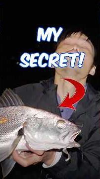 How I catch jewfish on lures!