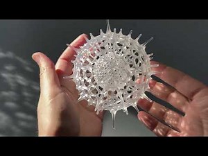 Crafting Radiolaria: turning Microscopic Life into Art