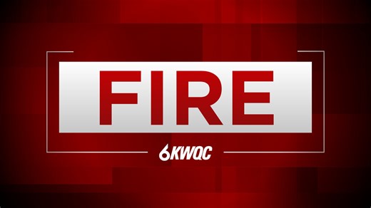 Farm & Home store closed, baby chicks killed in fire