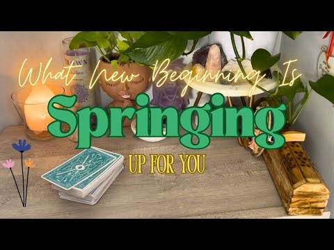 What New Beginning Is Springing Up For You 🌷#fyptarot #tarotreading