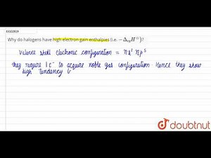 answer 1572435513 33102819