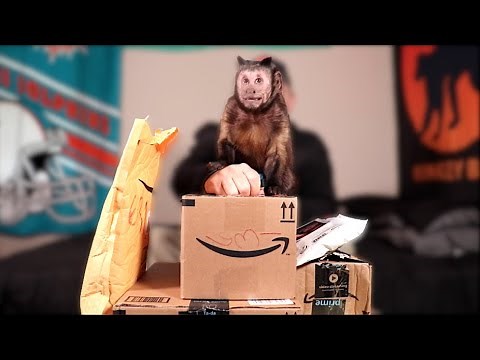 Capuchin Monkey Boo Opens Fan Mail!