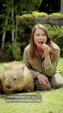 Take a break and treat yourself to wombat ASMR with Bindi Irwin 🌽