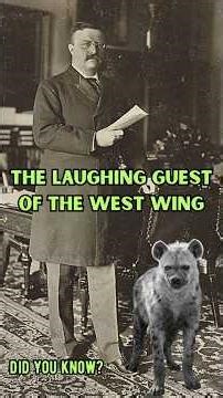 Most Presidents Had Dogs. Roosevelt Had This #history #wildanimals #shorts