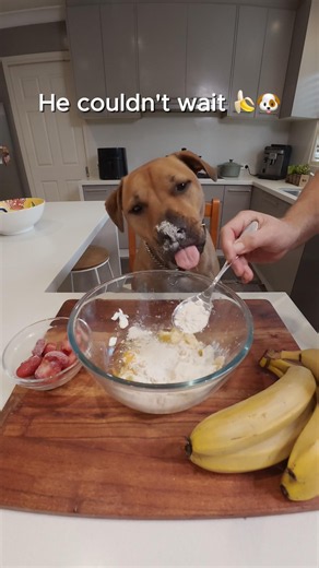 Bolt Knew This Was His 🍌🐶 Easy Homemade Dog Treats