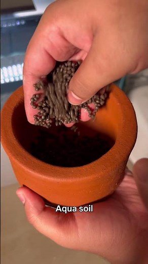 How to use Terracotta for aquarium planting #terracotta # #aquascape